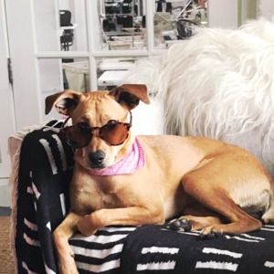 Meet your Posher, Kate